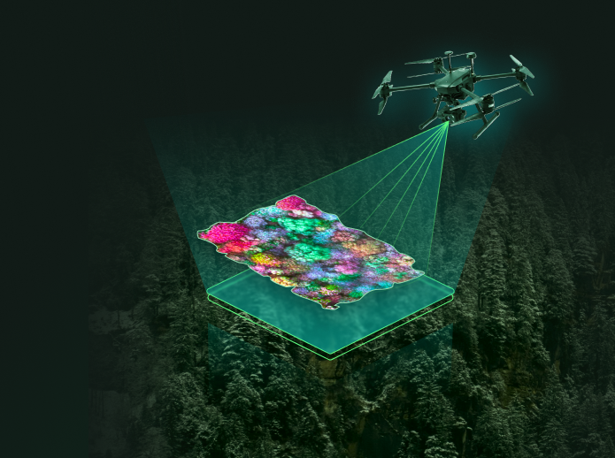 Drone capturing plantation canopy imagery